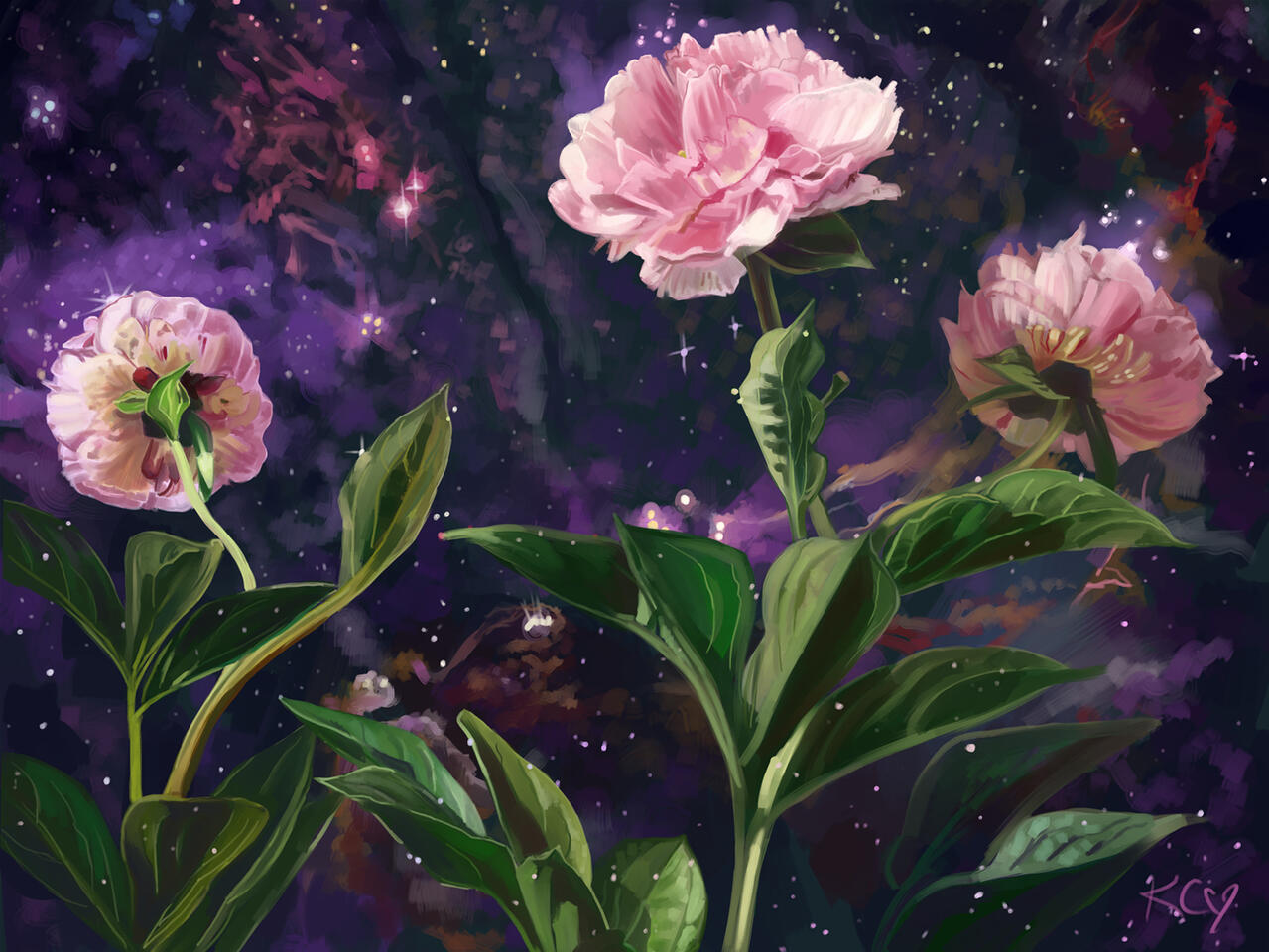 A painting of a starry purple nebula with three peony flowers growing in front of it with lush green stalks and leaves and blush-pink blooms. Some of the stars appear to be emanating from inside of the blooms.