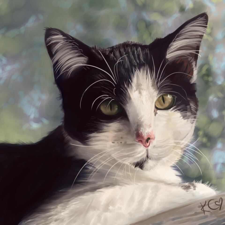 A painting of a black and white cat lying slightly above the viewer, with faint, fuzzy foliage in the background. She has a small black patch on her chin and a small black spot on her pink nose.