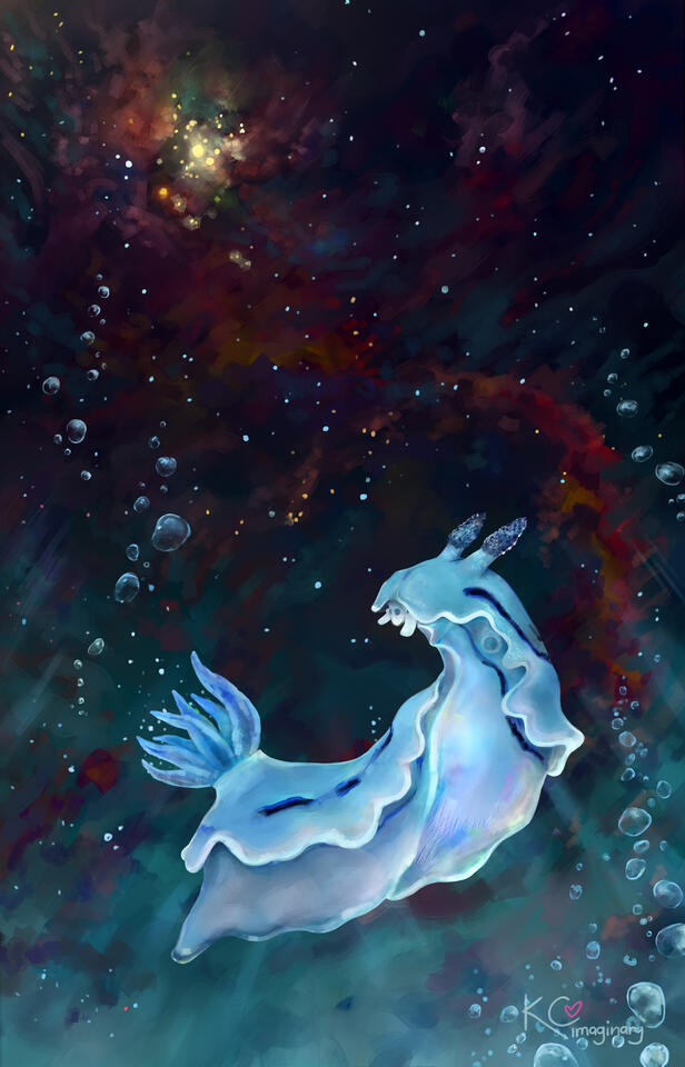 Rise to Light