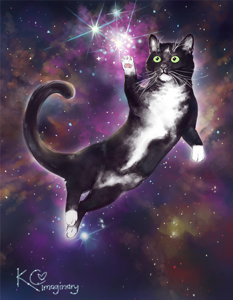Stella
